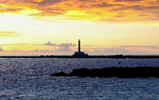 O que fazer em Gallipoli