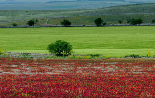 Zonas Turísticas da Puglia