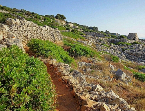 Caminhos na Puglia